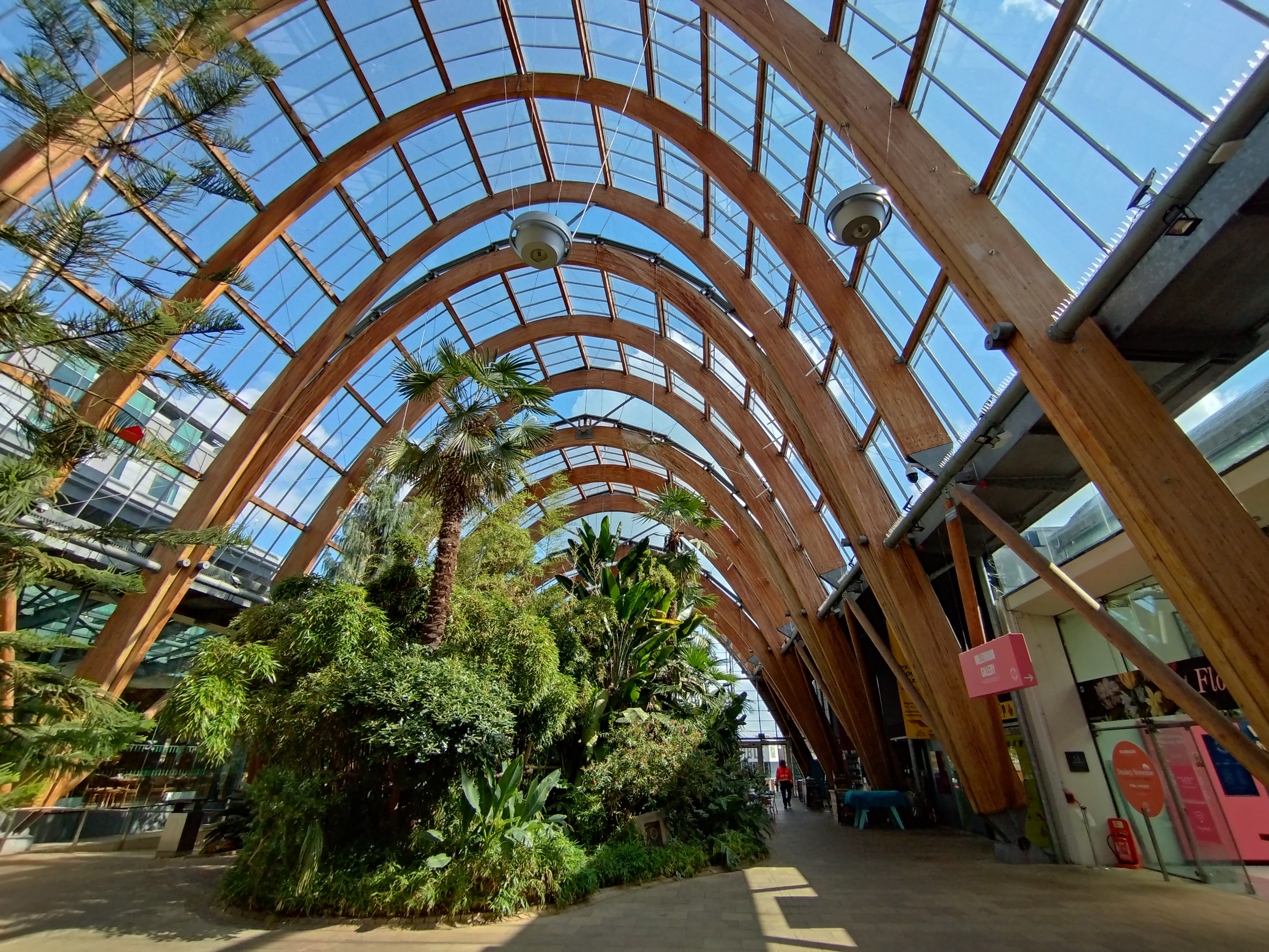 Taken with the ultra-wide-angle camera, the colours in this shot look better than the same shot taken with the main camera. Photo Joshua Waller