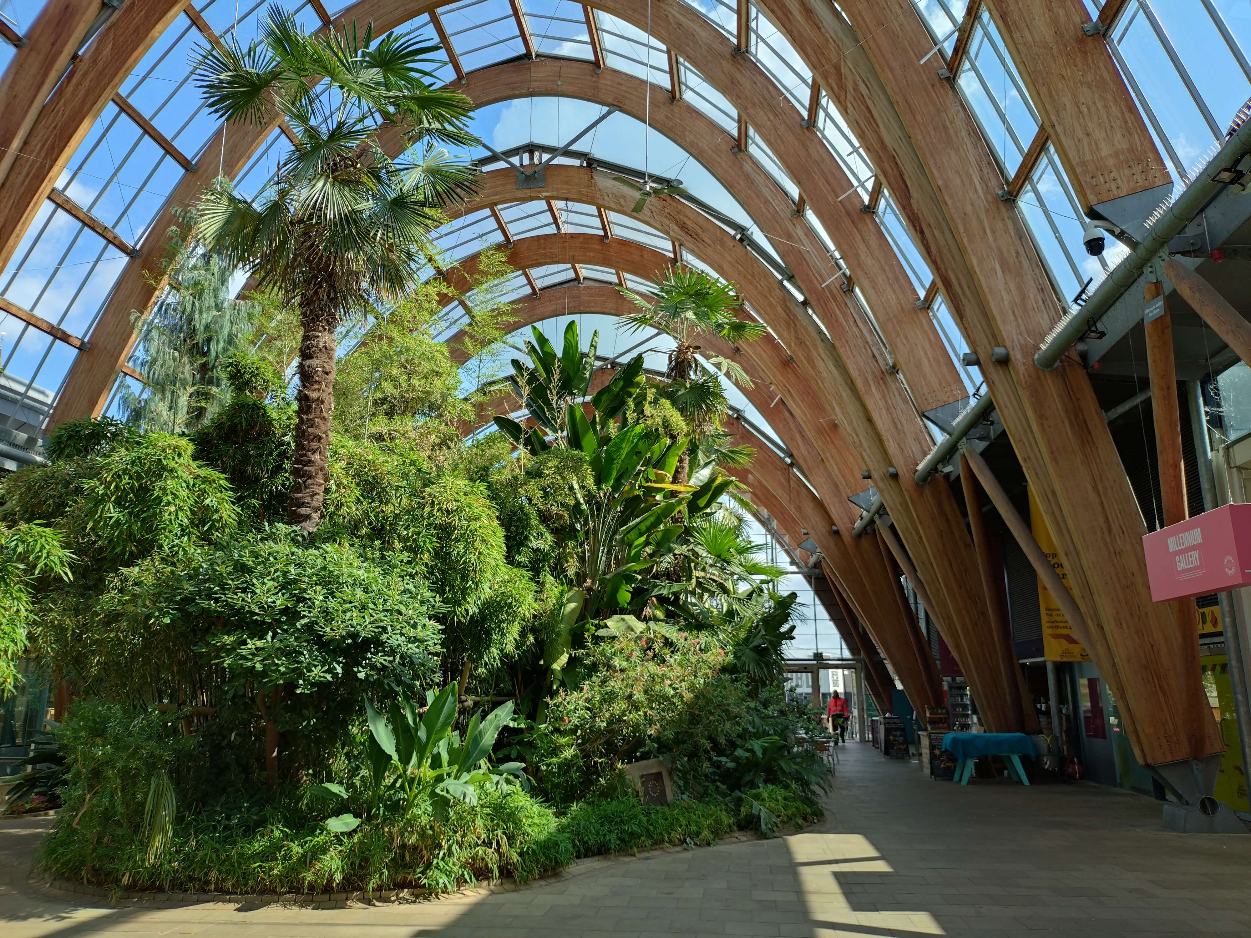 Peace Gardens, wide-angle camera on the Sony Xperia 10 V. Photo Joshua Waller