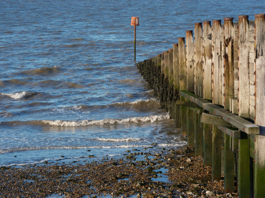 Fujifilm GFX100 II seaside sample image