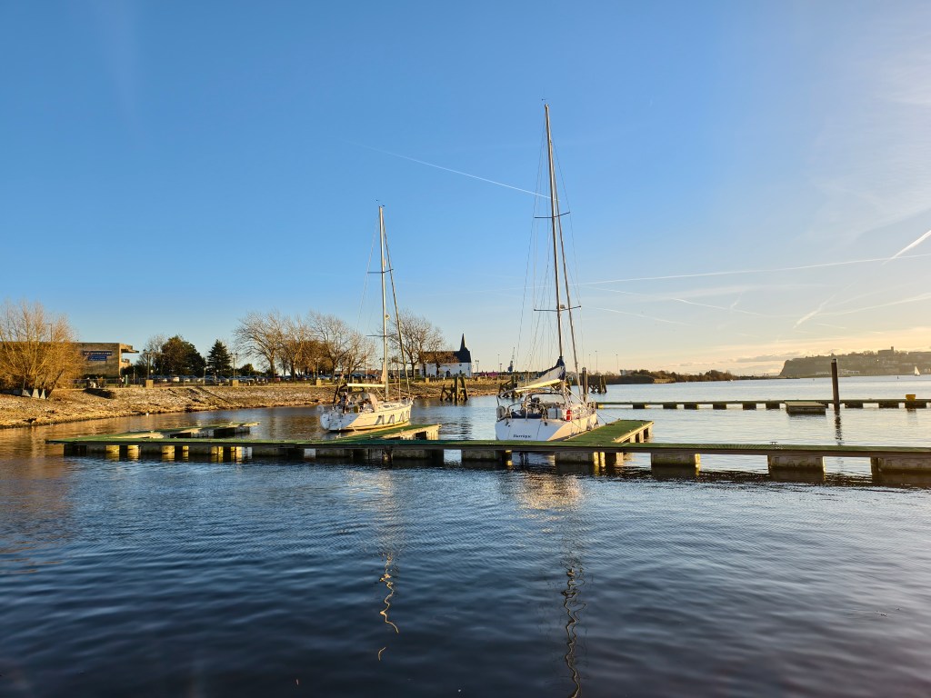 A sample image taken with the Vivo X200 Pro